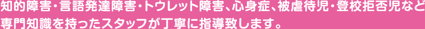 知的障害・言語発達障害・トウレット障害、心身症、被虐待児・登校拒否児など専門知識を持ったスタッフが丁寧に指導致します。